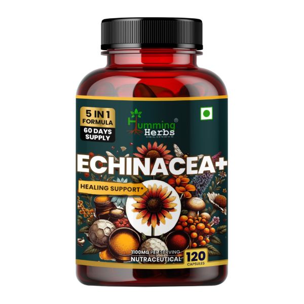 Humming Herbs Echinacea+ Supplements 5-in-1 Formula with Tulsi, Quercetin, Vitamin C &amp; Zinc | 120 Veg Capsules