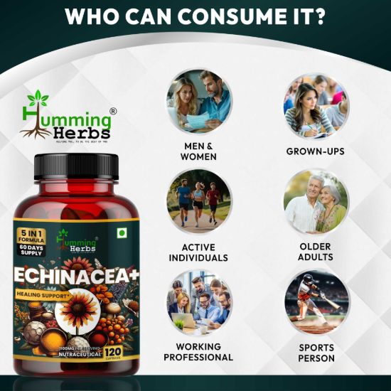 Humming Herbs Echinacea Plus Suitable for Men Women and Active Adults