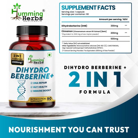Picture of Dihydroberberine Plus with Cinnamon Extract – 2300mg | 90 Veg Capsules | Supports Immune Health, Gut Health & DNA Repair | 3 Months Supply