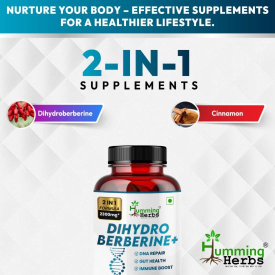 Picture of Dihydroberberine Plus with Cinnamon Extract – 2300mg | 90 Veg Capsules | Supports Immune Health, Gut Health & DNA Repair | 3 Months Supply