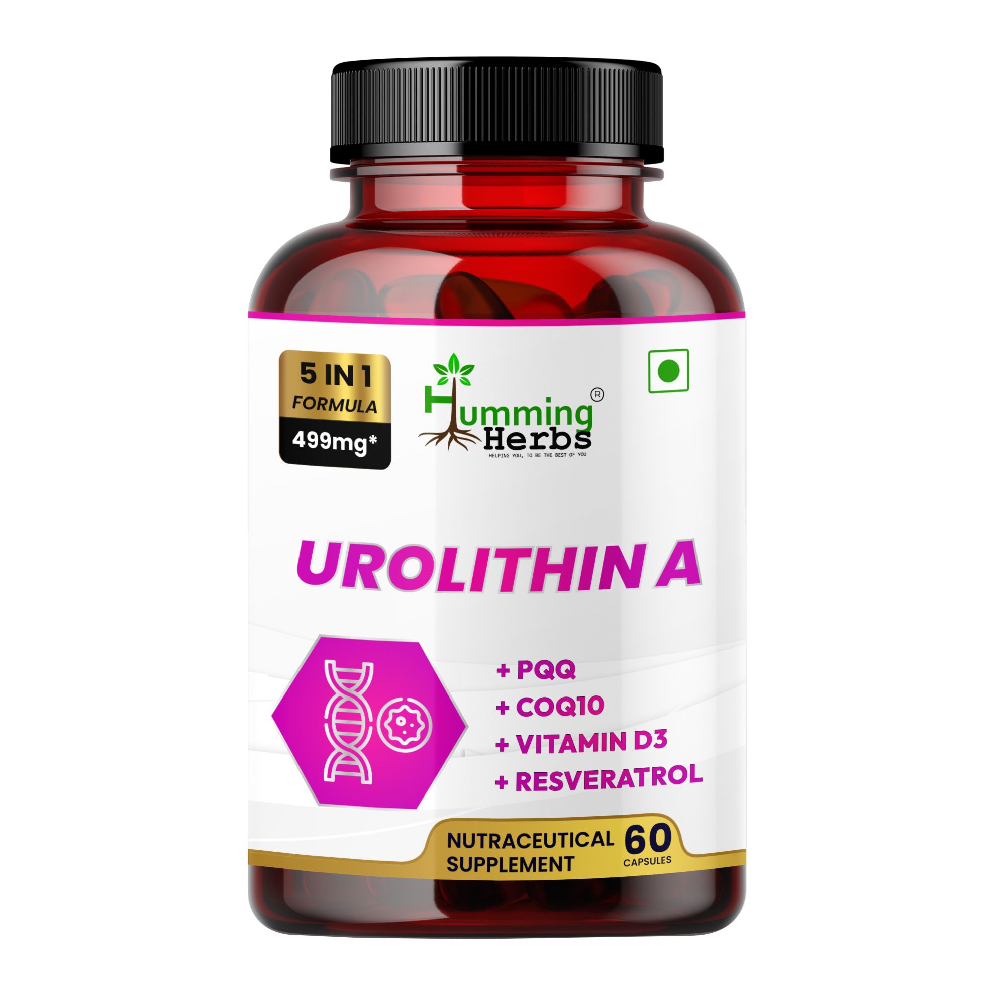 Picture of Urolithin A 250mg Supplement with CoQ10, PQQ, Resveratrol & Vitamin D3 - 5-in-1 Formula for DNA Health & Cellular Support - 60 Veg Capsules