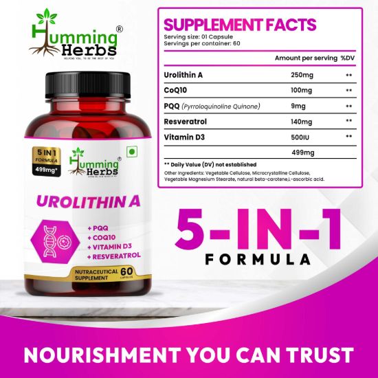 Picture of Urolithin A 250mg Supplement with CoQ10, PQQ, Resveratrol & Vitamin D3 - 5-in-1 Formula for DNA Health & Cellular Support - 60 Veg Capsules
