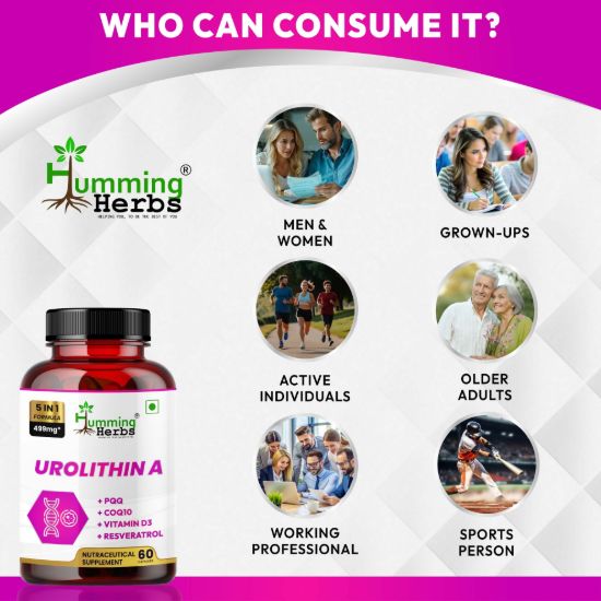 Picture of Urolithin A 250mg Supplement with CoQ10, PQQ, Resveratrol & Vitamin D3 - 5-in-1 Formula for DNA Health & Cellular Support - 60 Veg Capsules
