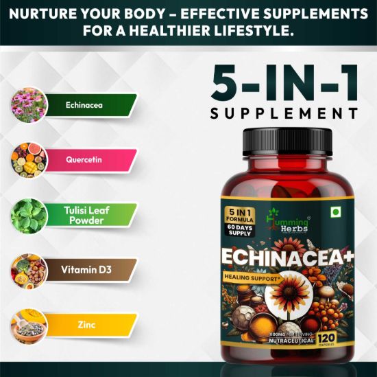 Picture of Echinacea Plus Capsules | 5-in-1 Immunity Support Formula with Tulsi, Quercetin, Vitamin C & Zinc | 120 Capsules for 60 Days Supply