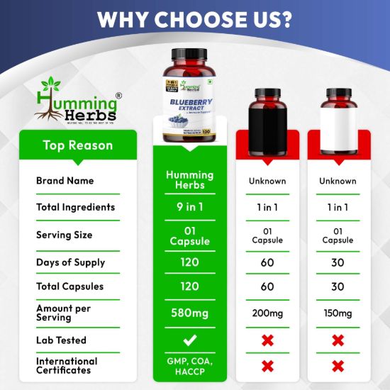 Picture of Blueberry Extract Capsules 9-in-1 Formula with Lutein, Bilberry, Vitamins & CoQ10 for Immune & Vision Support - 120 Capsules (120 Days Supply)