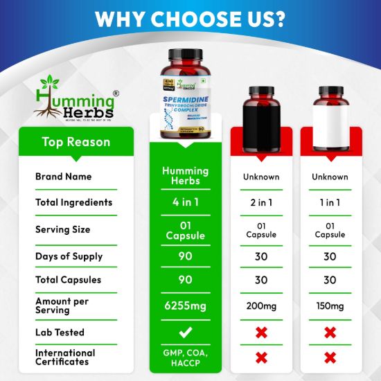 Picture of Spermidine Trihydrochloride Complex Capsules - 4-in-1 Formula with Fisetin, Quercetin & Berberine - 6225mg, 90 Vegetarian Capsules